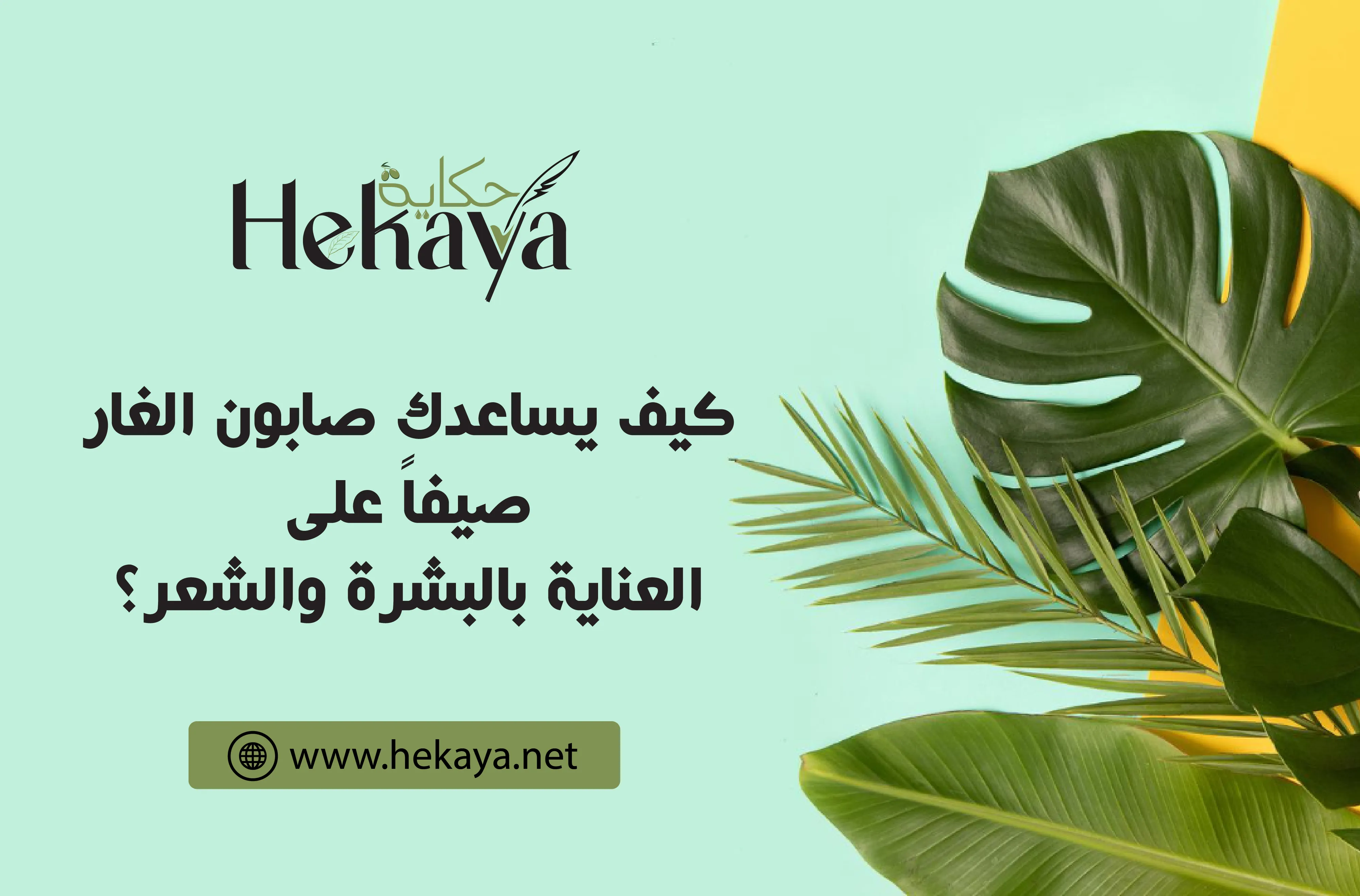 صابون الغار - صابون غار حكاية