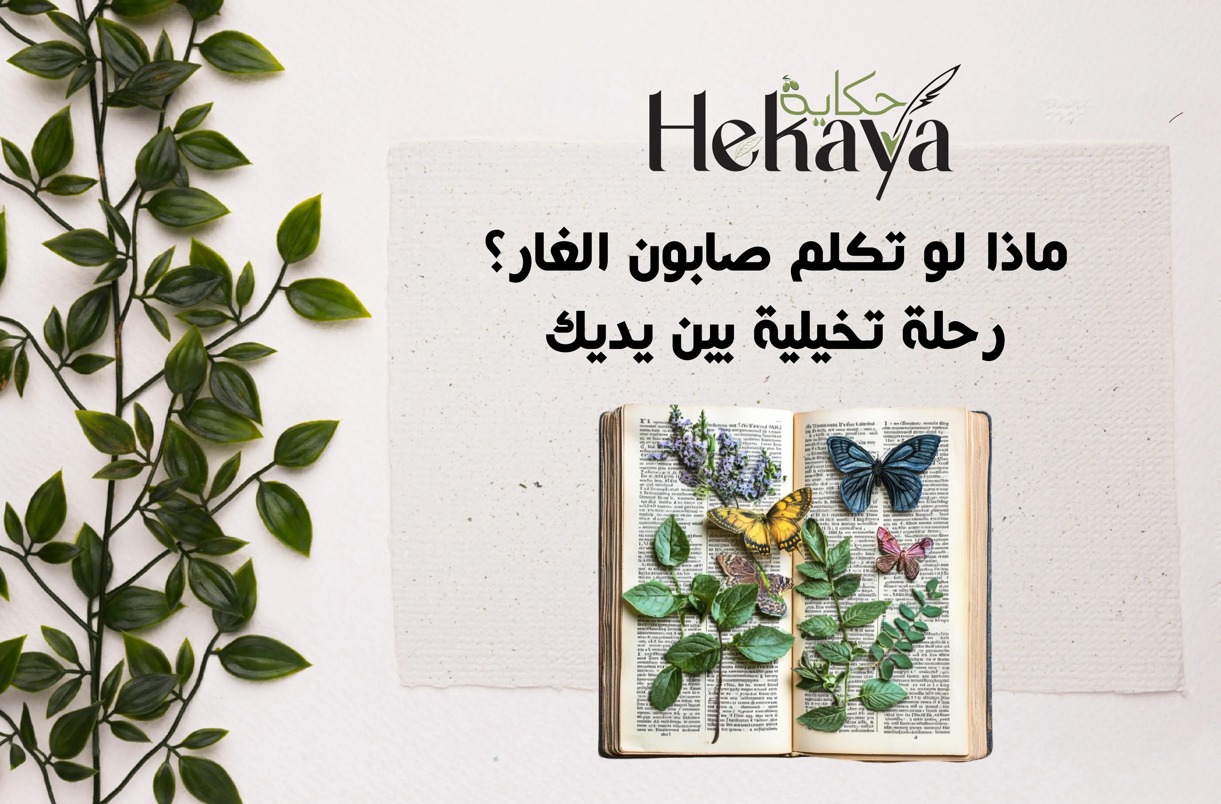 صابون الغار - صابون غار حكاية